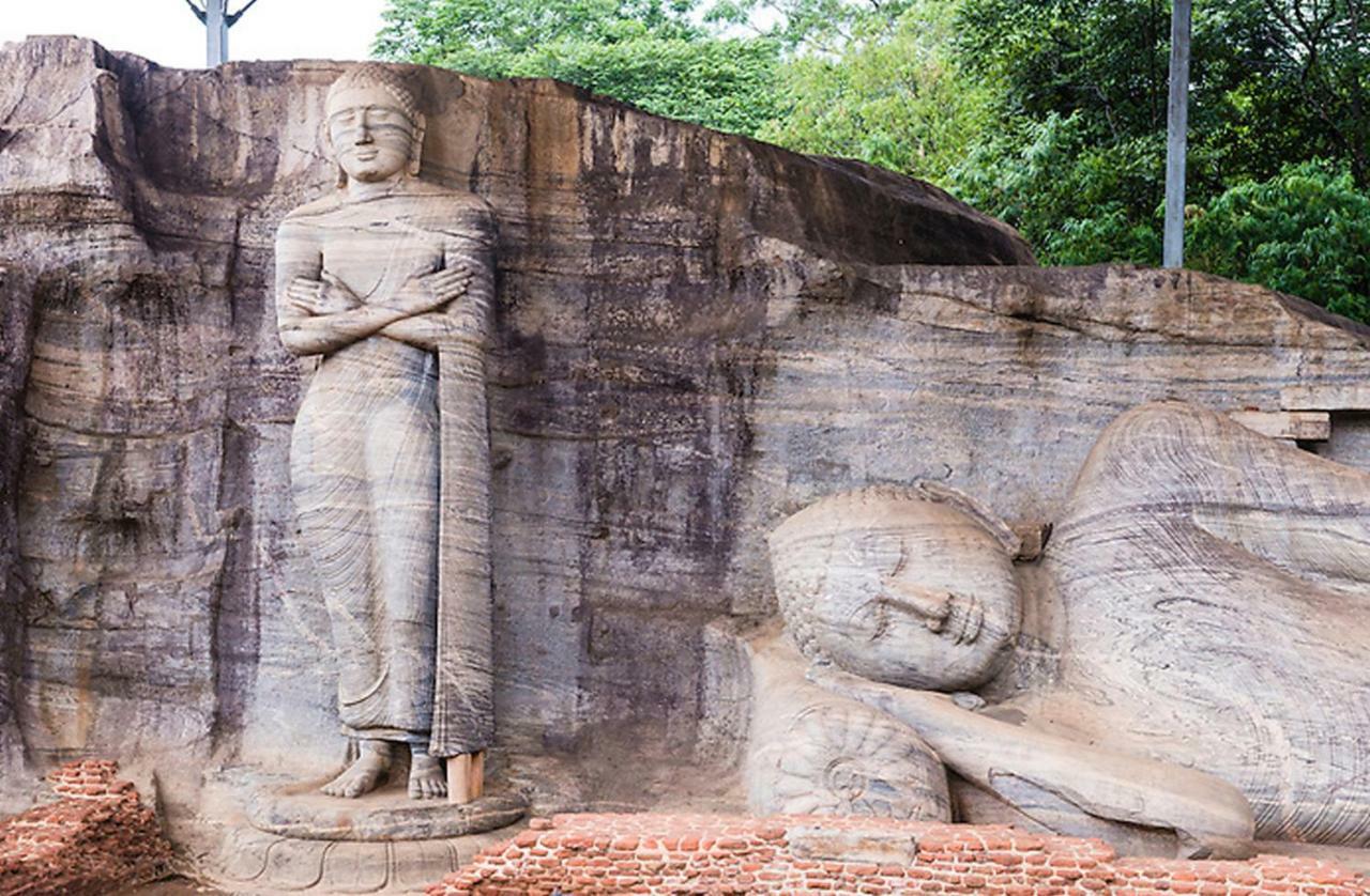 Lion Resort Polonnaruwa Eksteriør bilde